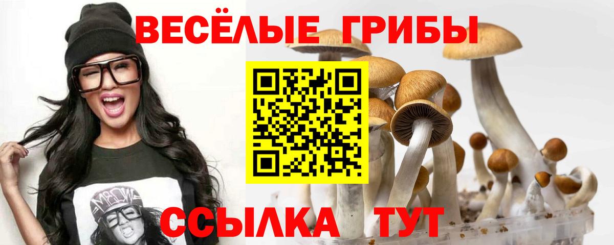 Псилоцибиновые грибы MAGIC MUSHROOMS  Псилоцибиновые грибы Psilocybine cubensis  Калининград  Вход с VPN 